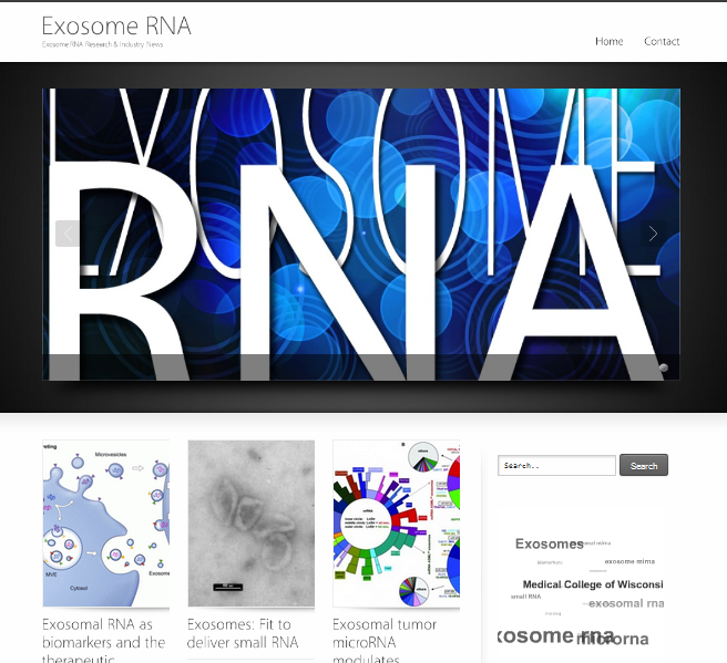 Exosome RNA