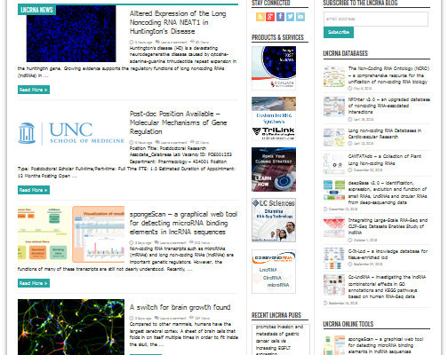 lncRNA Blog